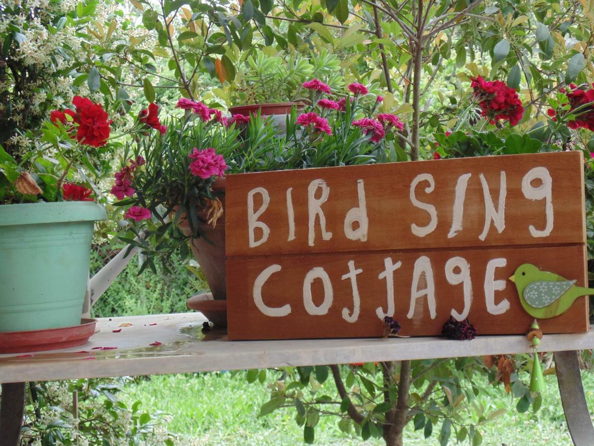 Birdsing Cottage 다시아 외부 사진